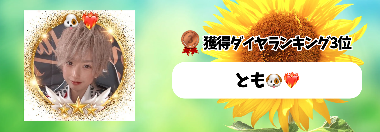 Tik_マンスリーランキング　バナー背景.