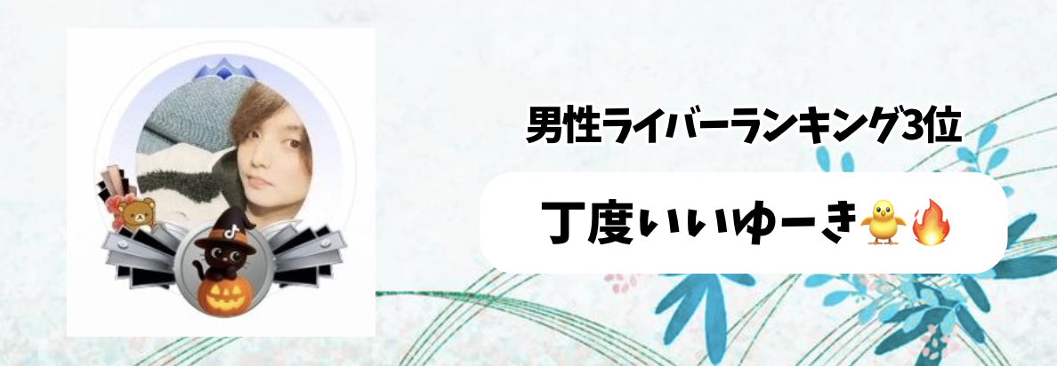 Tik_マンスリーランキング　バナー背景.