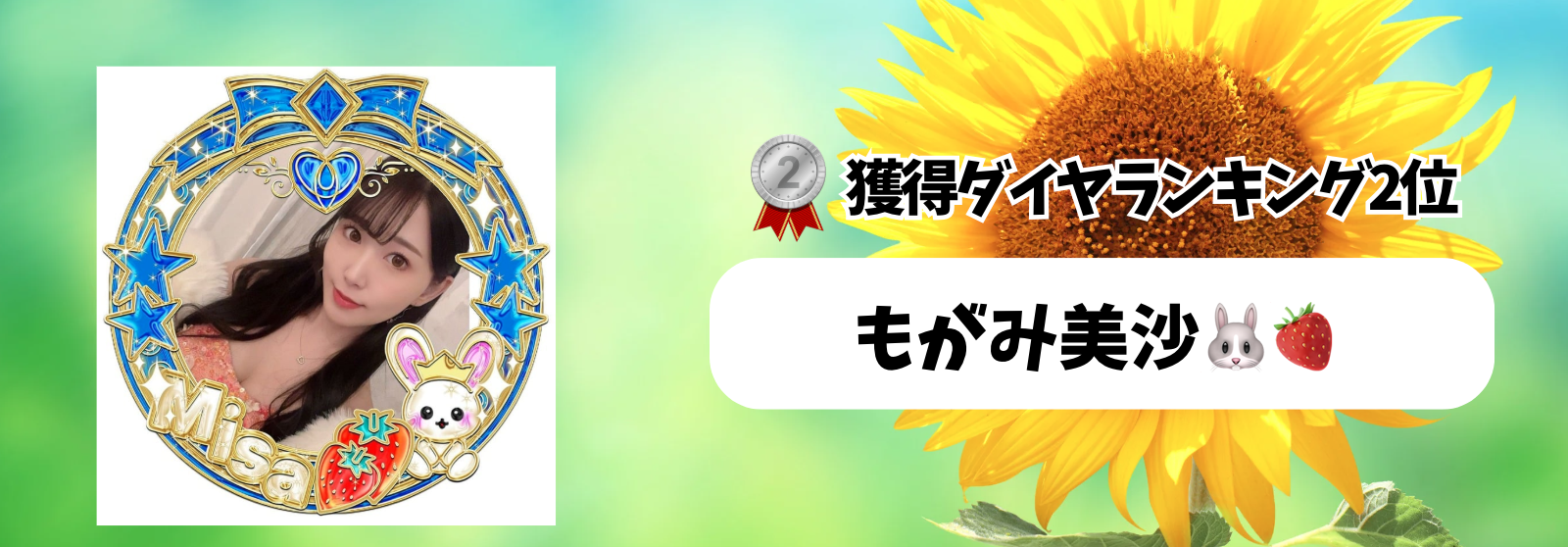 Tik_マンスリーランキング　バナー背景.