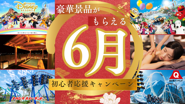 初心者応援プラン