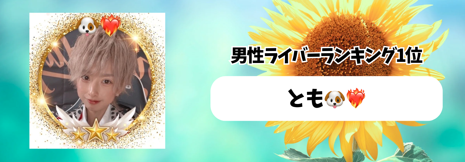 Tik_マンスリーランキング　バナー背景.